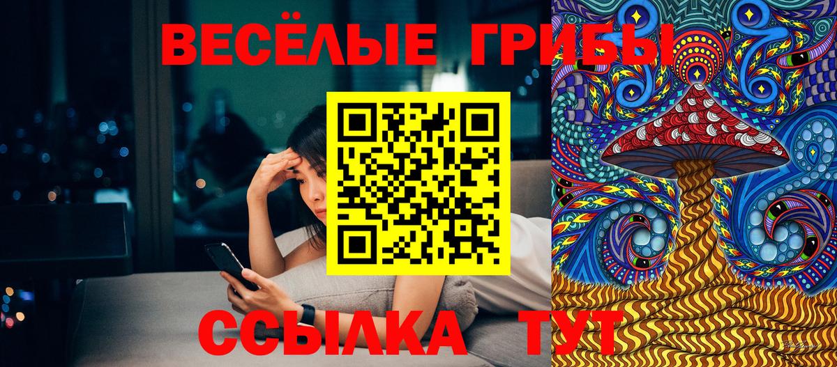 Псилоцибиновые грибы Cubensis  Вход с VPN  Галлюциногенные грибы Psilocybe  Ефремов 
